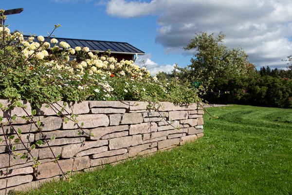 Rustikko FO - Image 6