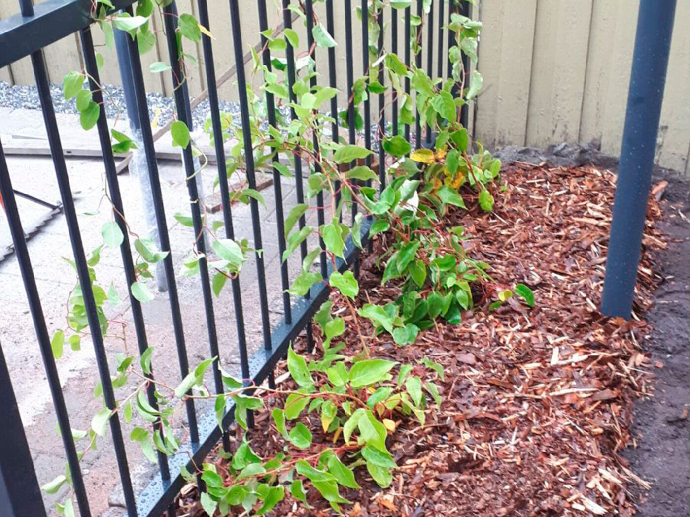 Puutarha ja piharakentaminen kulkevat käsi kädessä.